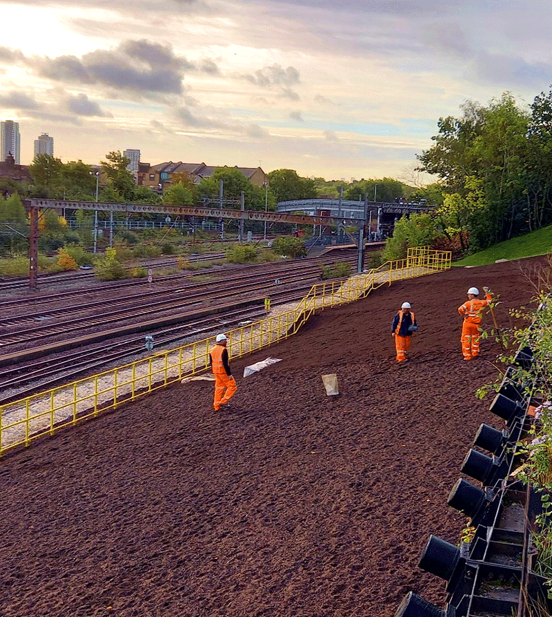 Harringay Retaining Wall - image 8